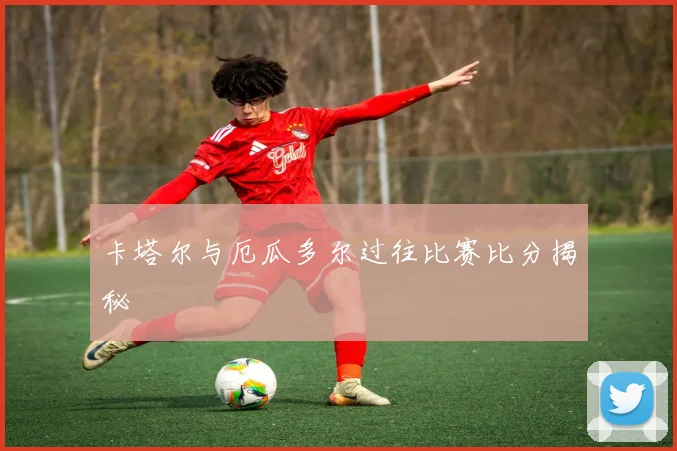 卡塔尔与厄瓜多尔过往比赛比分揭秘