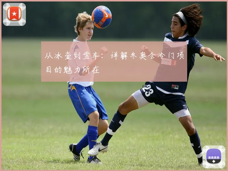 从冰壶到雪车:详解冬奥会冷门项目的魅力所在