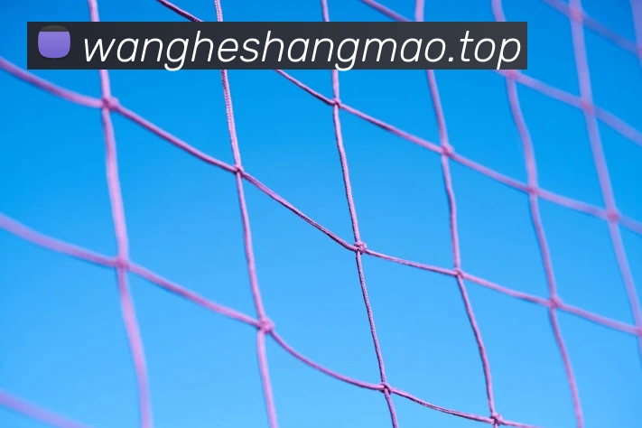 奖项1